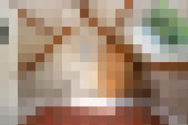 Kruisenkstraat 64 Brummen thumbnail 10