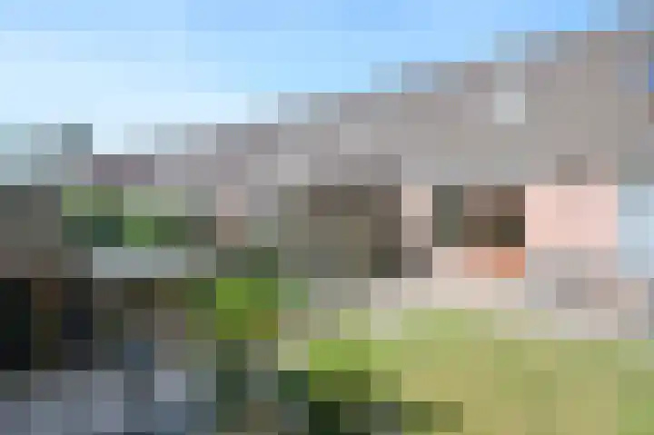 Kruisenkstraat 64 Brummen thumbnail 15