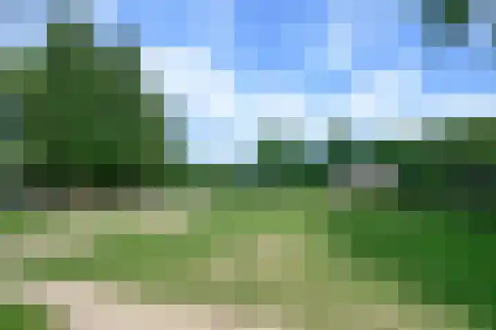 Kruisenkstraat 64 Brummen thumbnail 17