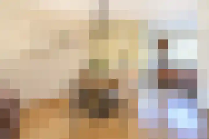 Kruisenkstraat 64 Brummen thumbnail 5