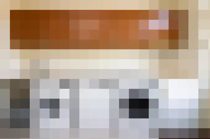 Kruisenkstraat 64 Brummen thumbnail 7