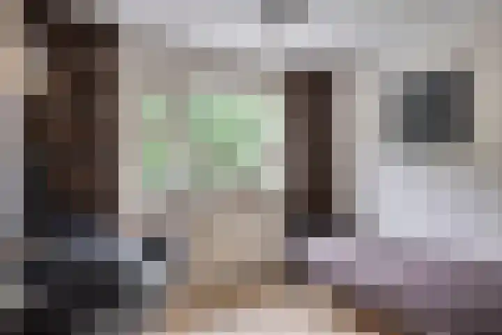 Kruiser 29 Veenendaal thumbnail 15