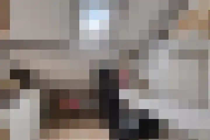 Kruiser 29 Veenendaal thumbnail 18