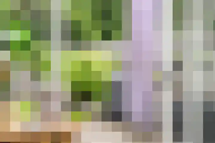 Kruiser 29 Veenendaal thumbnail 19