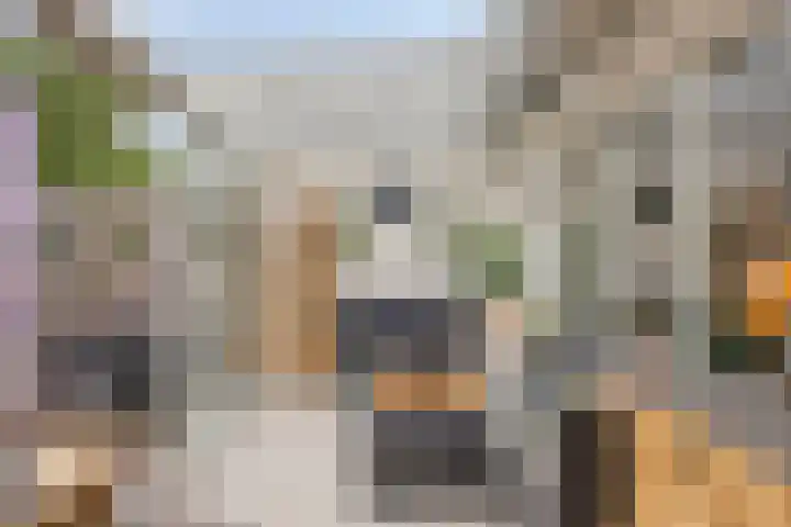 Kruiser 29 Veenendaal thumbnail 20