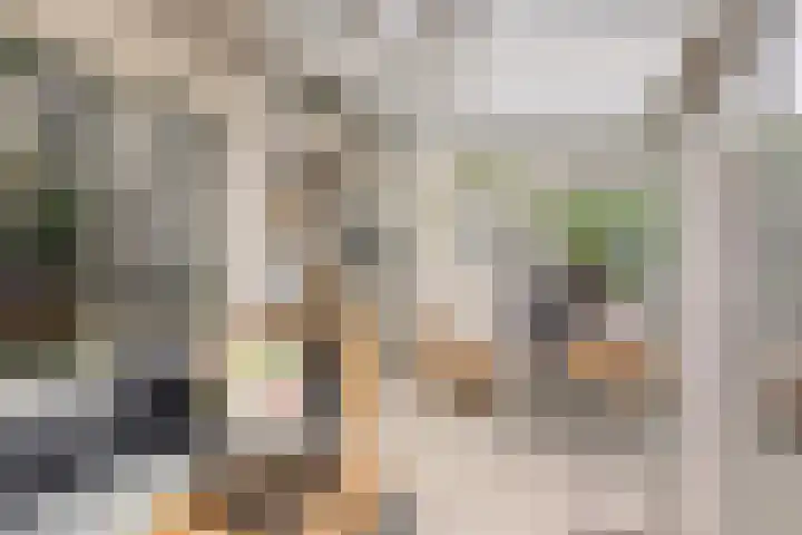 Kruiser 29 Veenendaal thumbnail 21