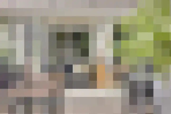 Kruiser 29 Veenendaal thumbnail 22