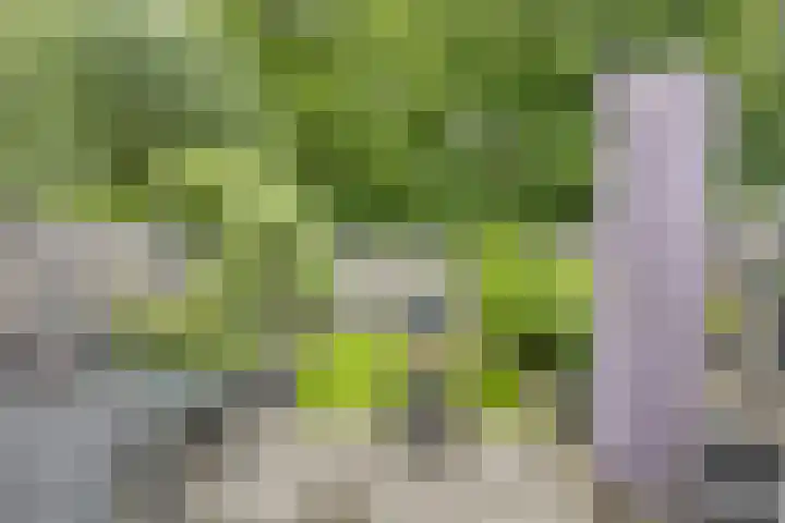 Kruiser 29 Veenendaal thumbnail 23