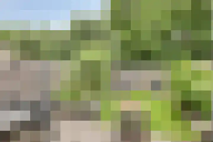 Kruiser 29 Veenendaal thumbnail 24