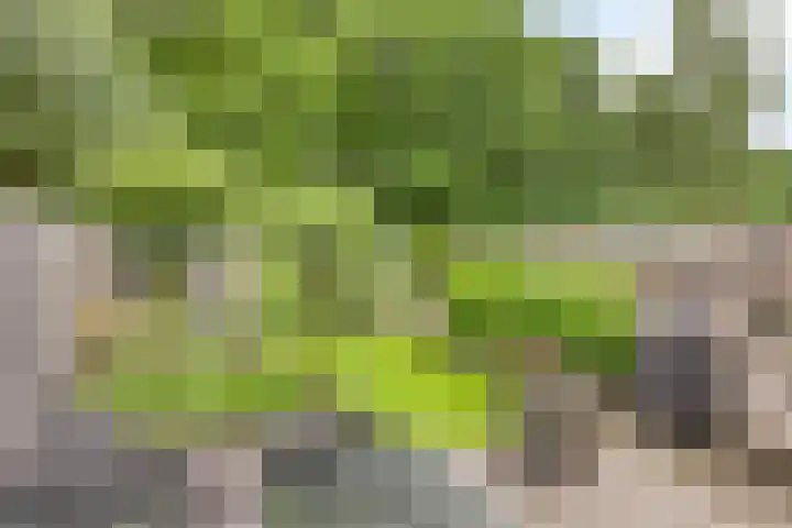 Kruiser 29 Veenendaal thumbnail 25