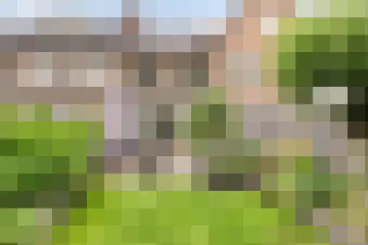 Kruiser 29 Veenendaal thumbnail 26