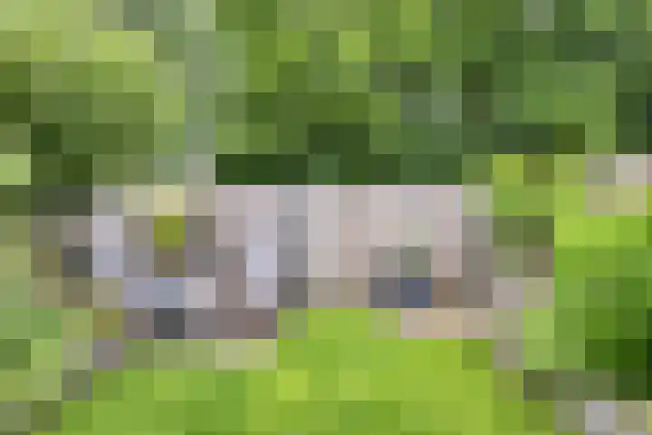 Kruiser 29 Veenendaal thumbnail 27