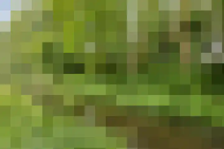 Kruiser 29 Veenendaal thumbnail 34