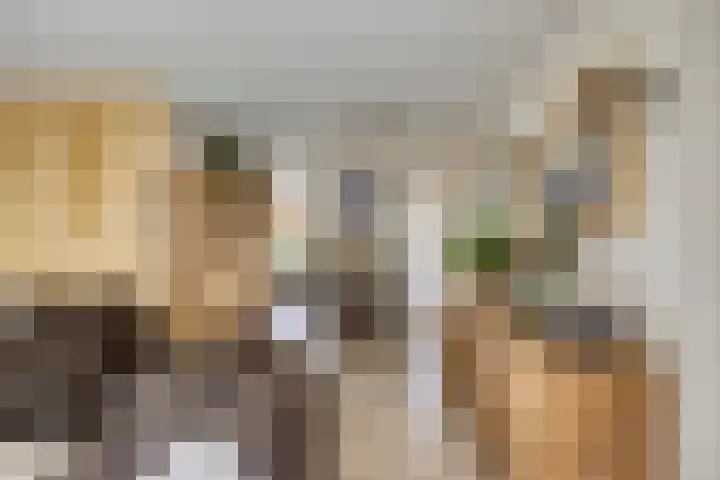 Kruiser 29 Veenendaal thumbnail 4