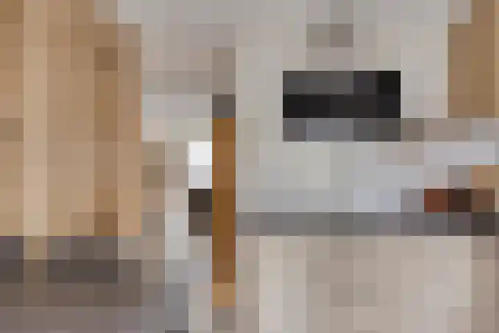 Kruiser 29 Veenendaal thumbnail 7