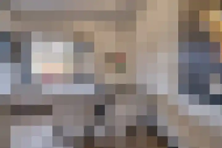 Kruiser 50 Veenendaal thumbnail 10