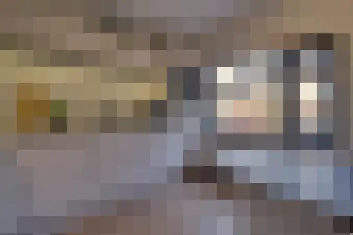 Kruiser 50 Veenendaal thumbnail 11