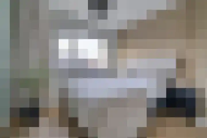 Kruiser 50 Veenendaal thumbnail 20