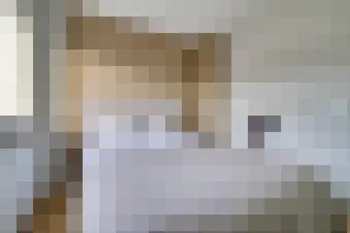 Kruiser 50 Veenendaal thumbnail 21