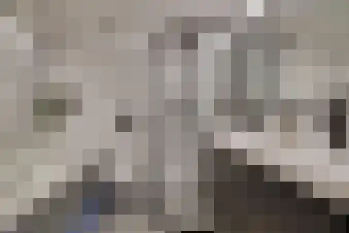 Kruiser 50 Veenendaal thumbnail 25