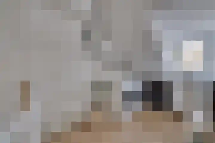Kruiser 50 Veenendaal thumbnail 27