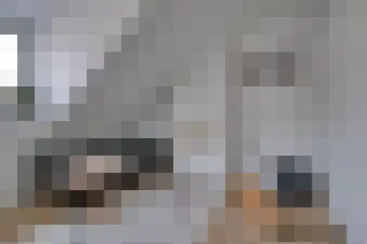 Kruiser 50 Veenendaal thumbnail 31