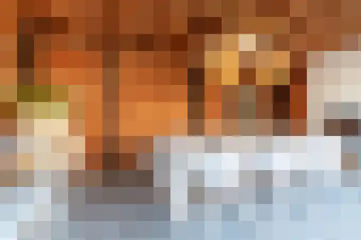 Kruiser 50 Veenendaal thumbnail 38