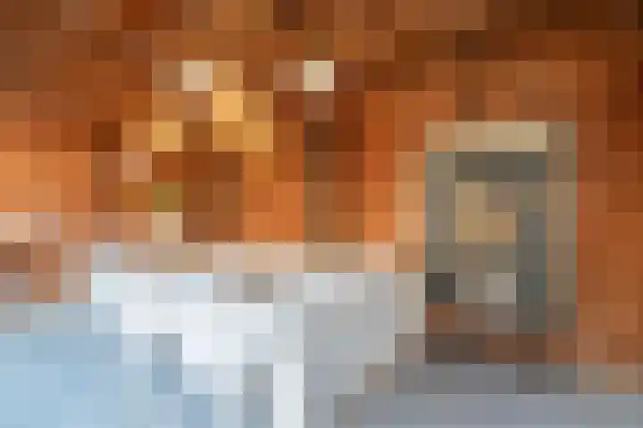 Kruiser 50 Veenendaal thumbnail 41