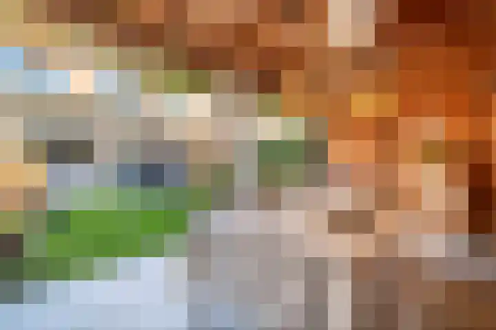 Kruiser 50 Veenendaal thumbnail 42