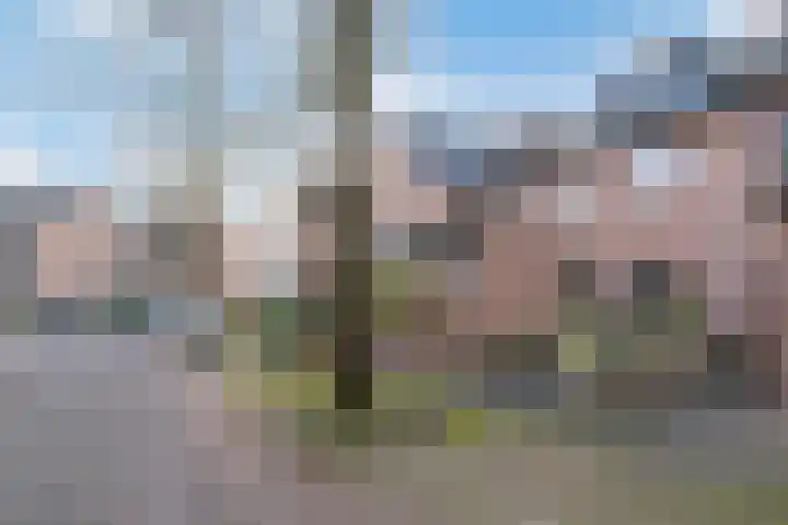 Kruiser 50 Veenendaal thumbnail 43