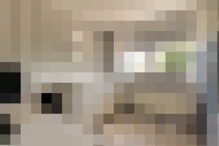Kruisgang 5 Grootebroek thumbnail 24