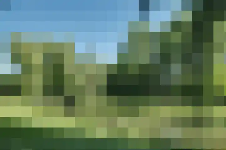 Kruisgang 5 Grootebroek thumbnail 50