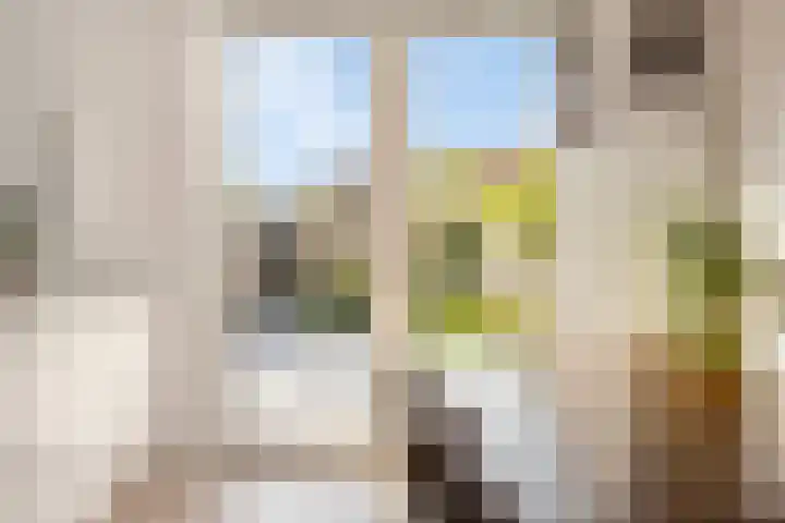 Kruisherenborch 10 Rosmalen thumbnail 10