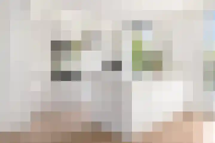 Kruisherenborch 10 Rosmalen thumbnail 12