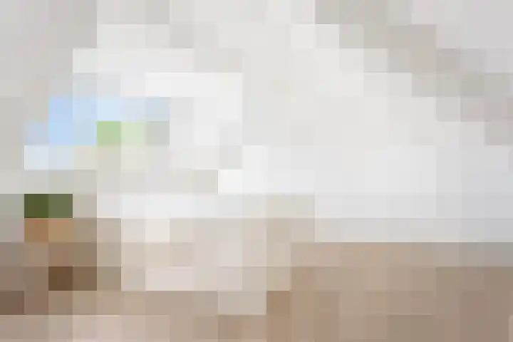 Kruisherenborch 10 Rosmalen thumbnail 28