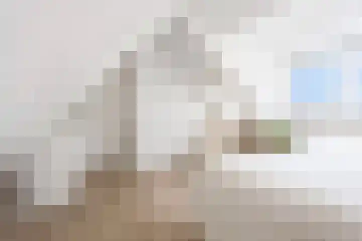 Kruisherenborch 10 Rosmalen thumbnail 29