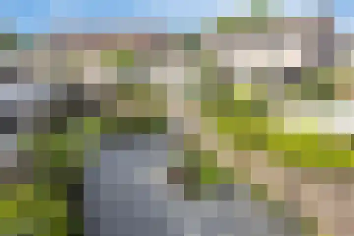 Kruisherenborch 10 Rosmalen thumbnail 31
