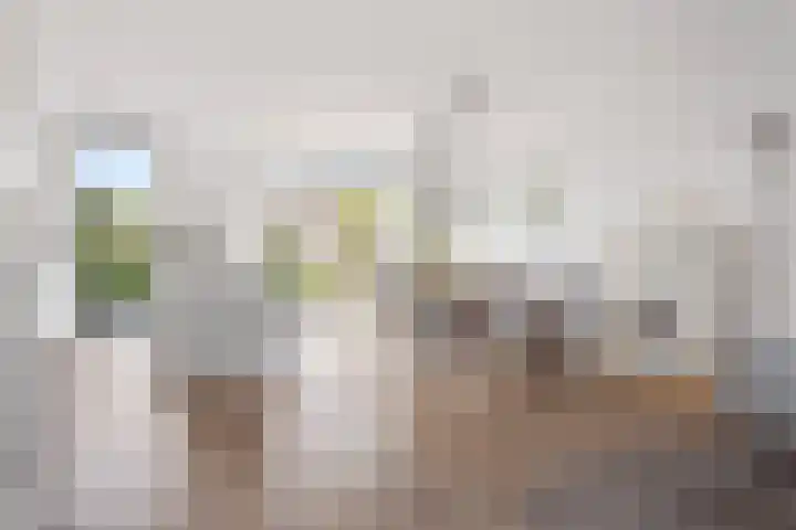 Kruisherenborch 10 Rosmalen thumbnail 6