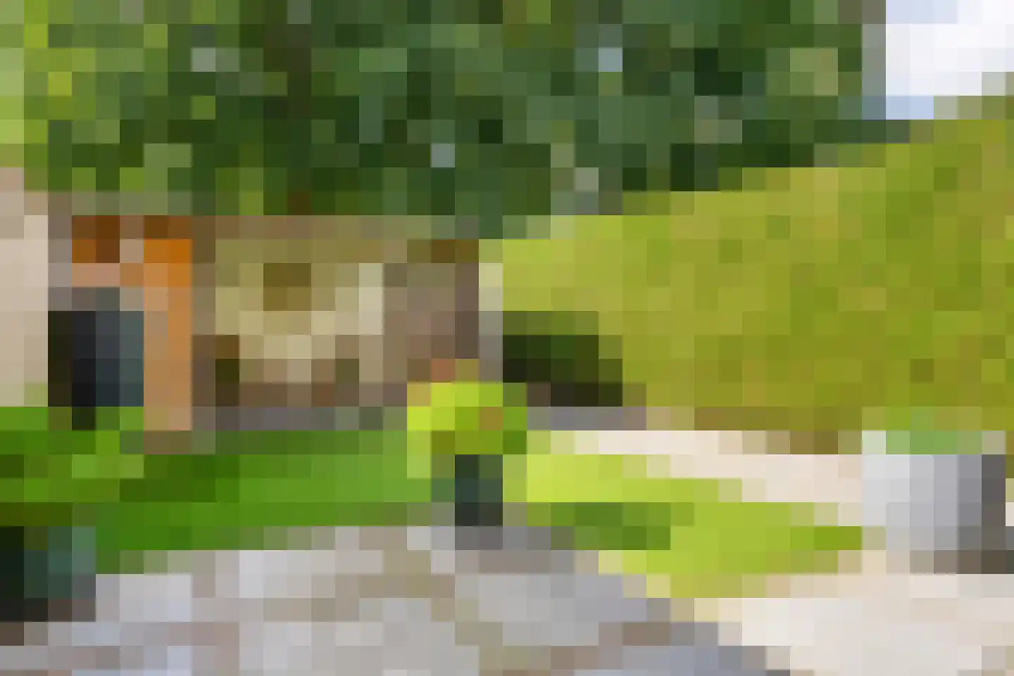 Kruisherenborch 13 Rosmalen thumbnail 16
