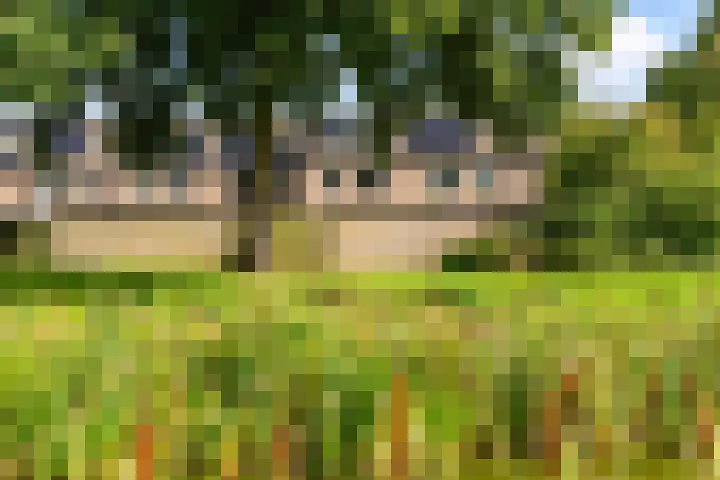 Kruisherenborch 13 Rosmalen thumbnail 20