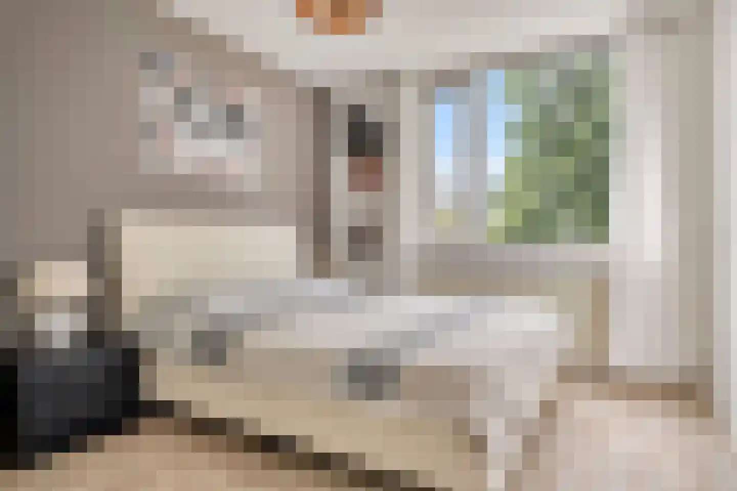 Kruisherenborch 13 Rosmalen thumbnail 22