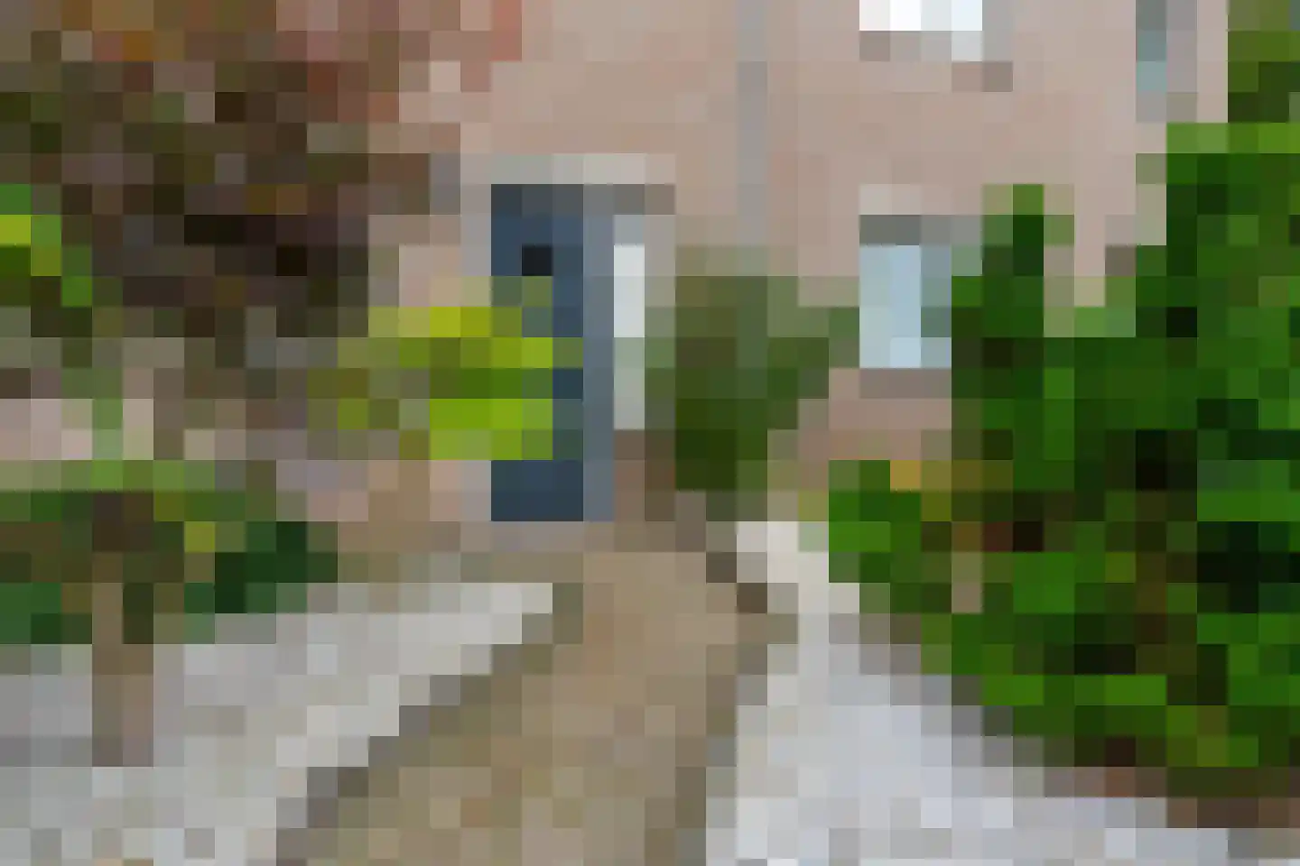 Kruisherenborch 21 Rosmalen thumbnail 36