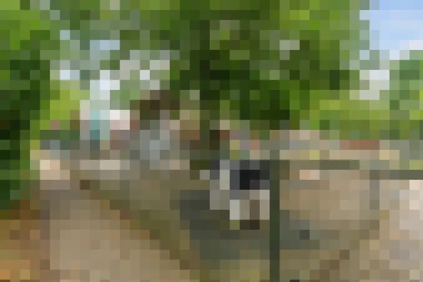 Kruisherenborch 21 Rosmalen thumbnail 41