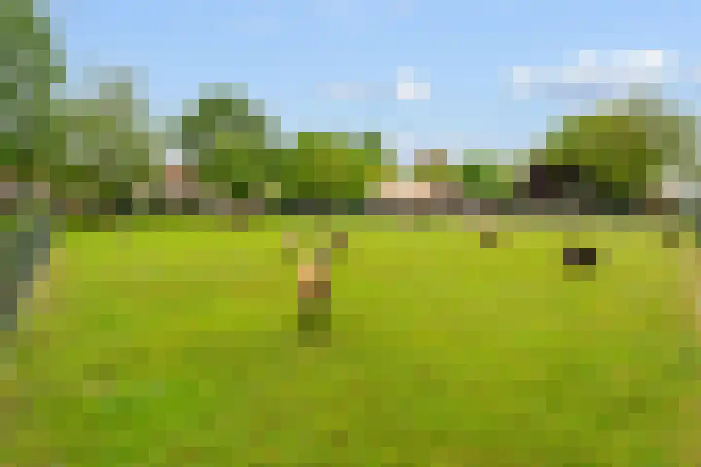 Kruisherenborch 40 Rosmalen thumbnail 40
