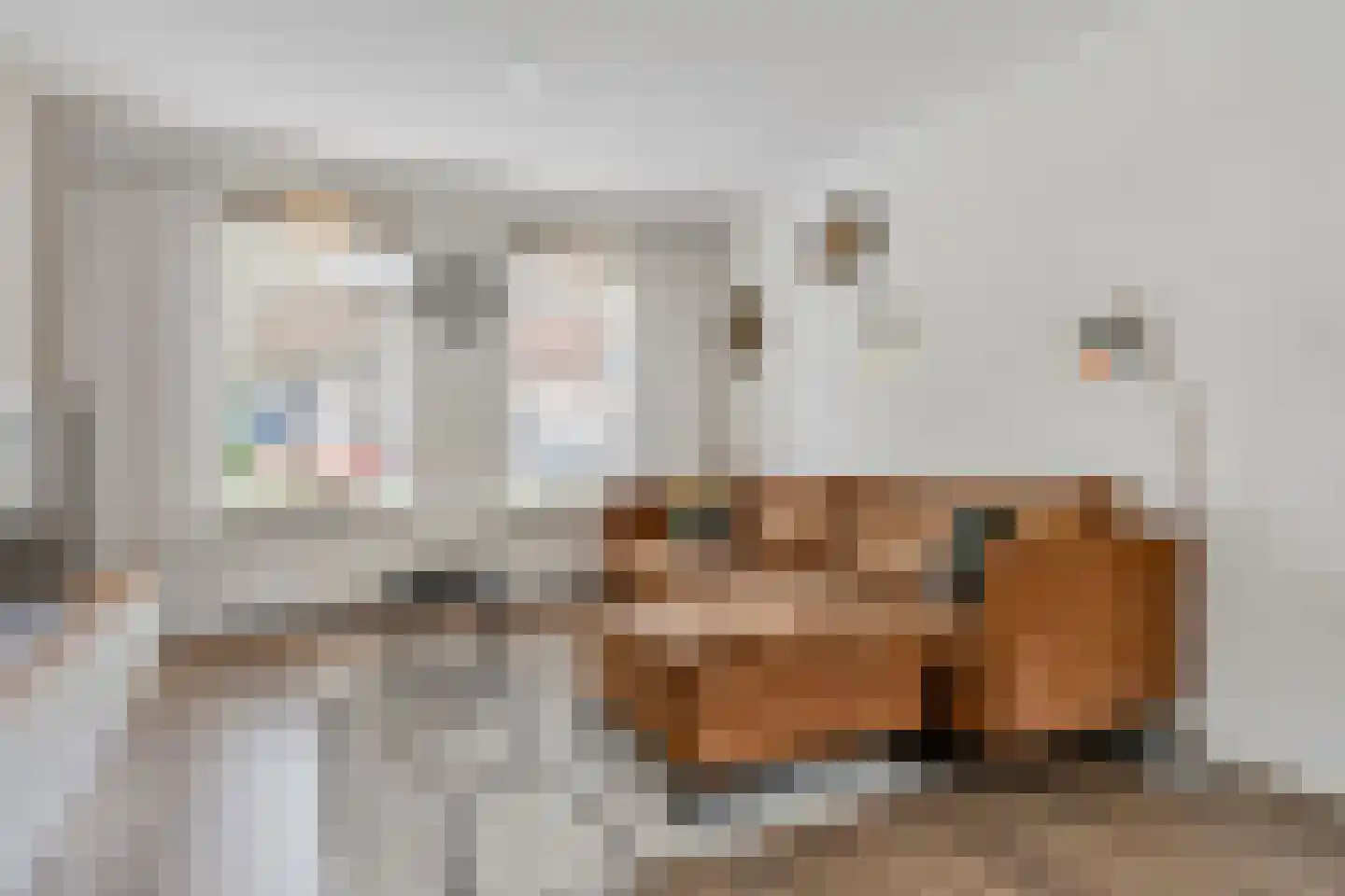 Kruisherenborch 40 Rosmalen thumbnail 6