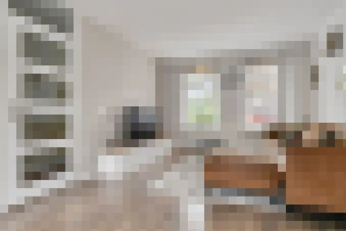 Kruisherenborch 40 Rosmalen thumbnail 7