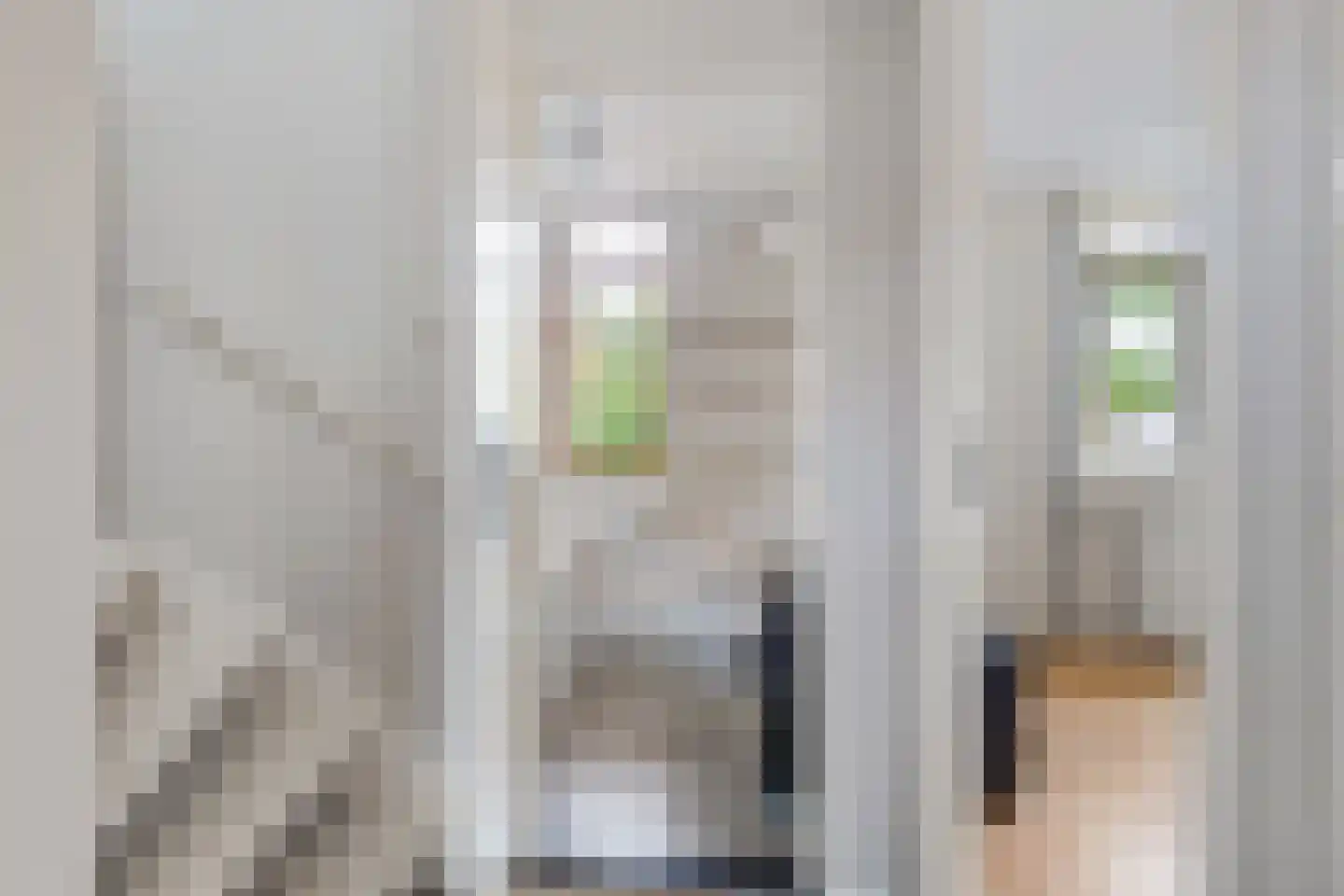Kruisherenborch 44 Rosmalen thumbnail 13
