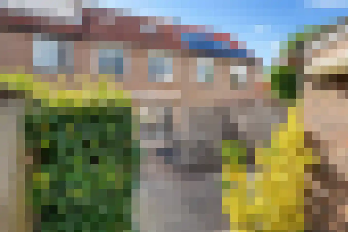 Kruisherenborch 44 Rosmalen thumbnail 32