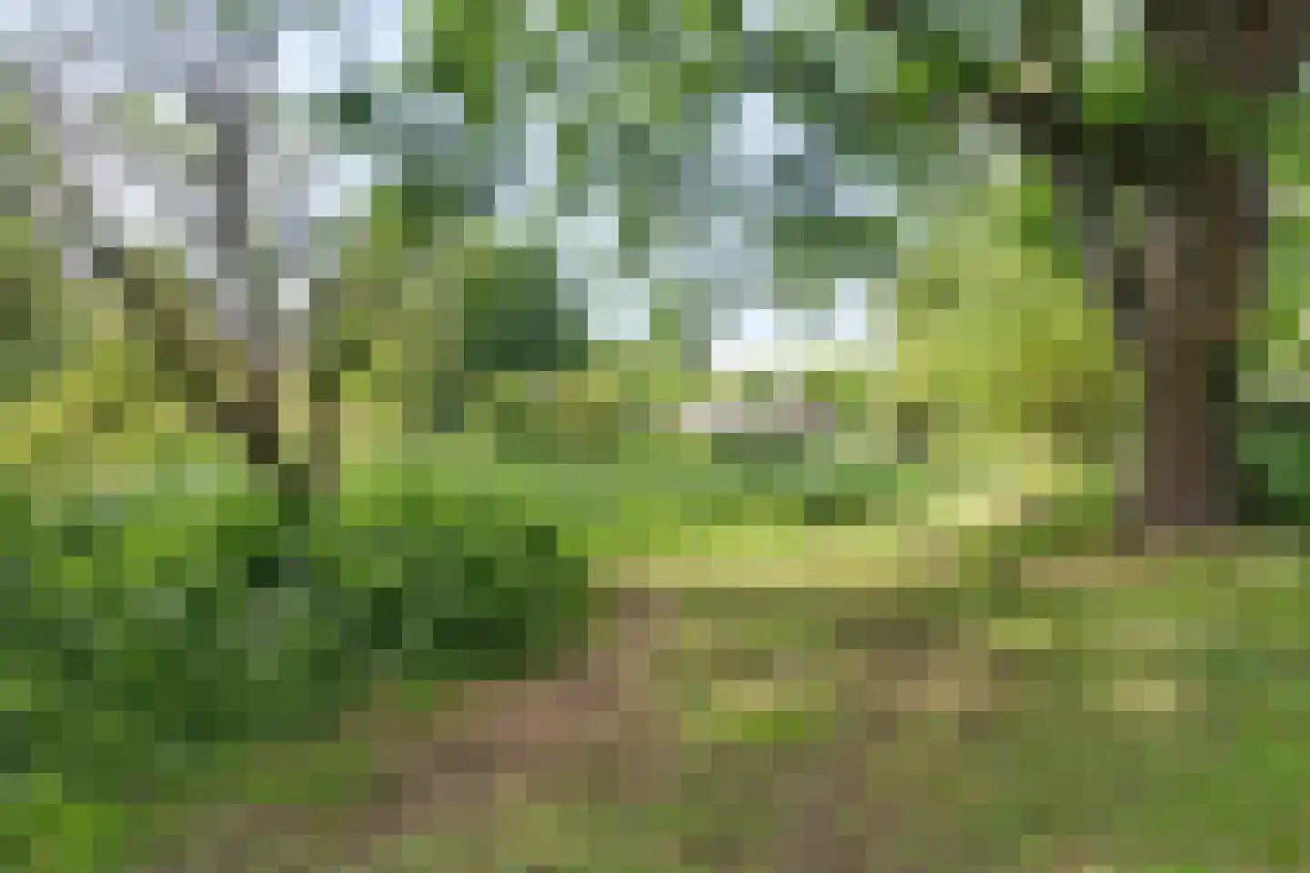 Kruisherenborch 44 Rosmalen thumbnail 33