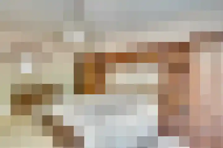 Kruisherenstraat 1 Uden thumbnail 12